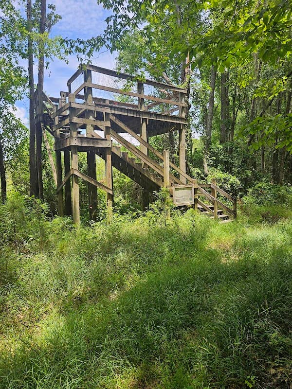 Dingle Pond Trail - Image 2