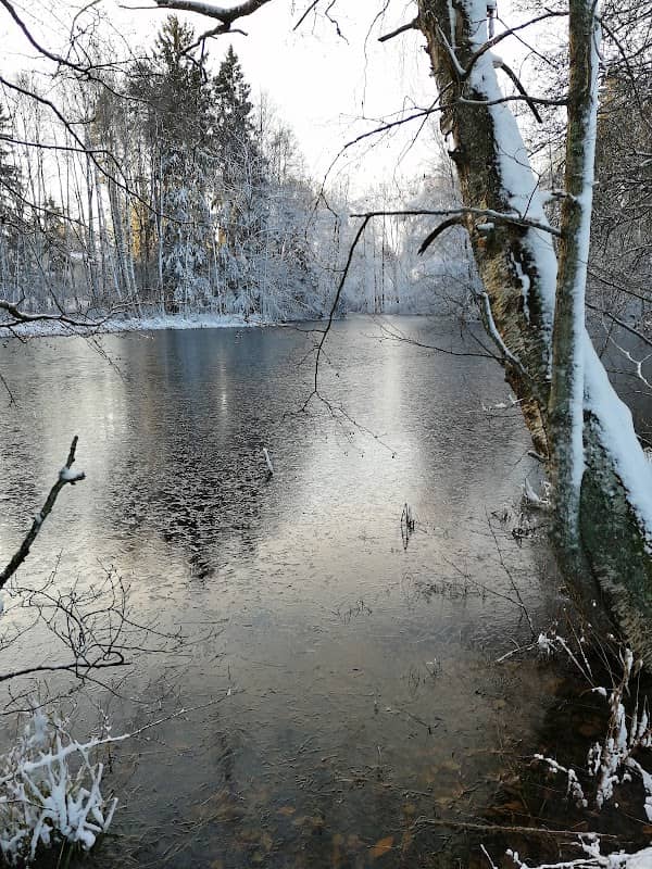 Myllylammen luonnonsuojelualue - Image 1