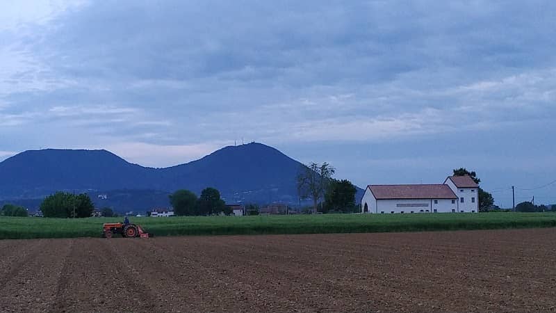 Corte del_coco - Image 2