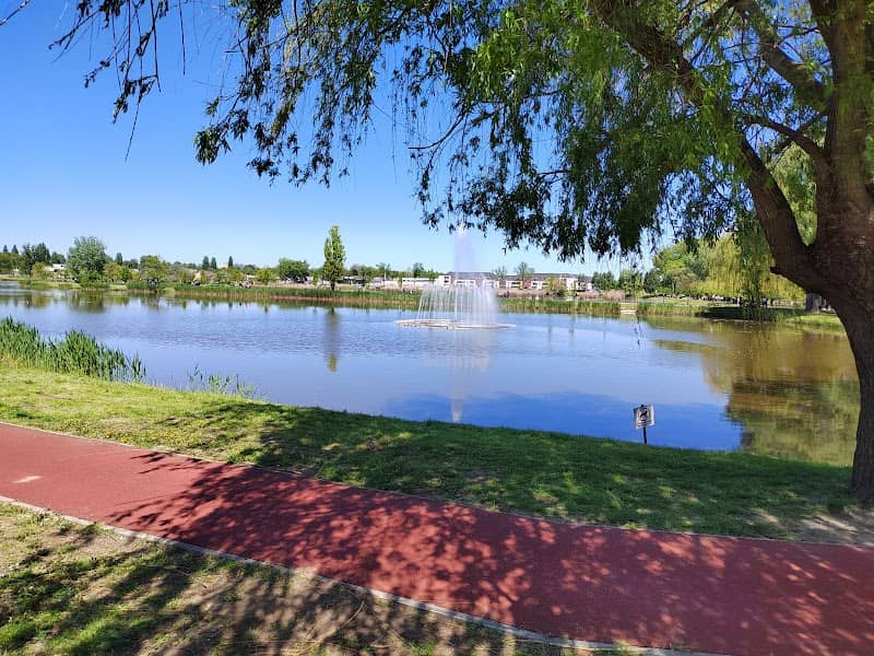 Bujtosi Városliget - Image 1