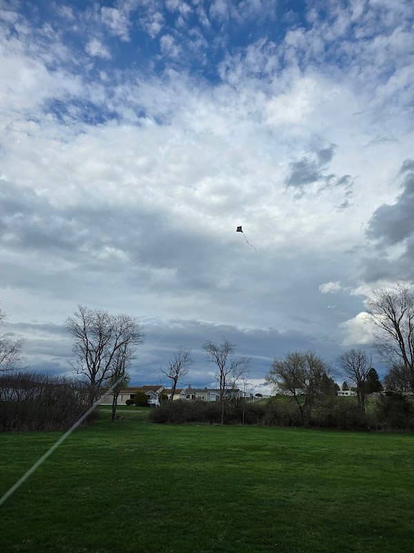 Pine Circle Park - Image 2