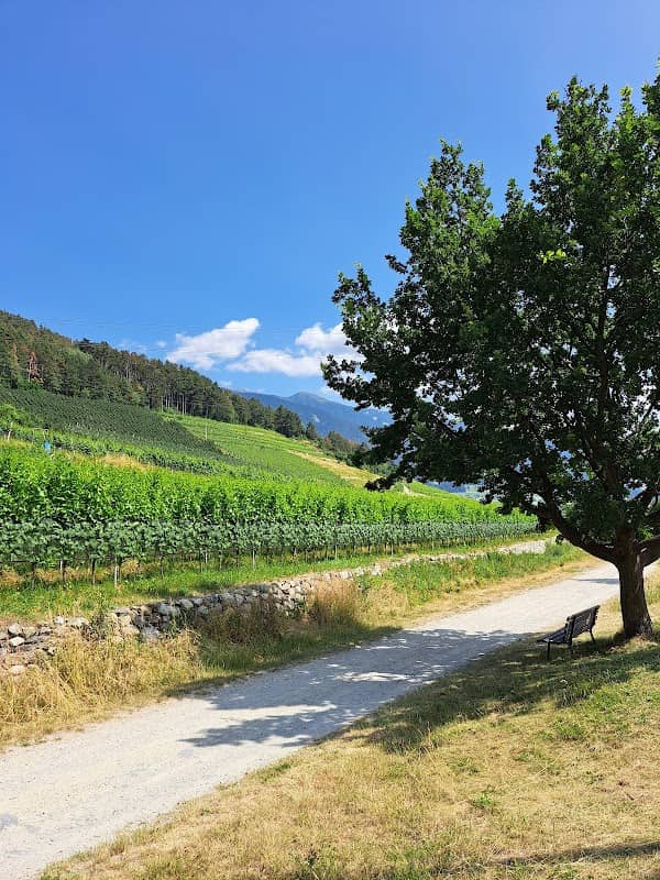 Vinum Alpes - Wine Tasting & Hike - Image 2