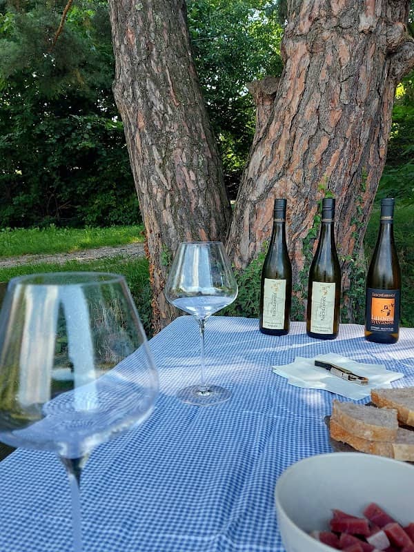 Vinum Alpes - Wine Tasting & Hike - Image 3