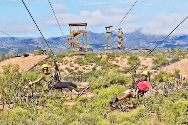Predator Zip Lines - Image 1