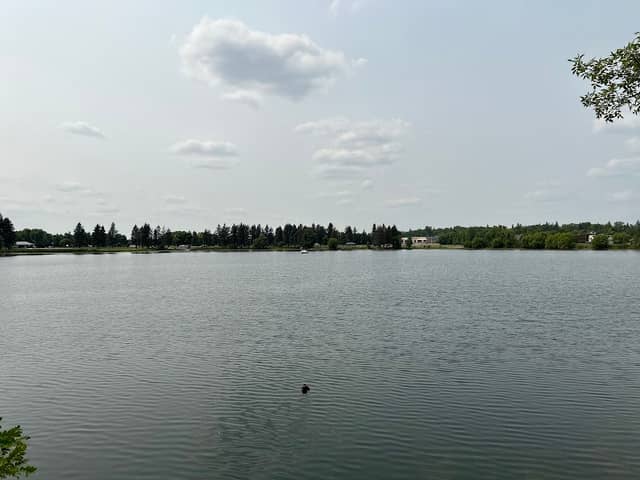World's Largest Floating Loon - Image 1