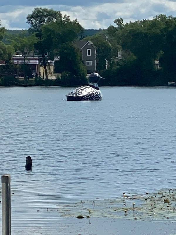 World's Largest Floating Loon - Image 2