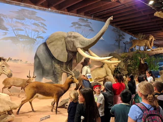 Petaluma Wildlife Museum - Image 3