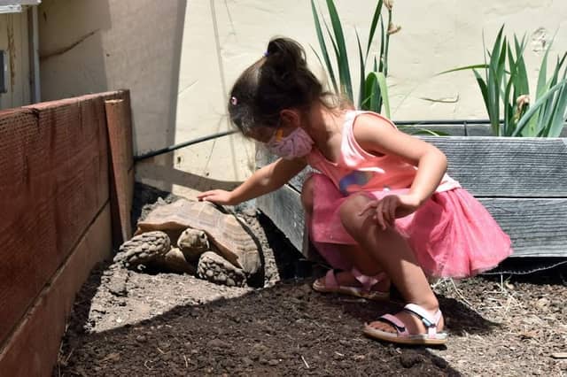Petaluma Wildlife Museum - Image 2