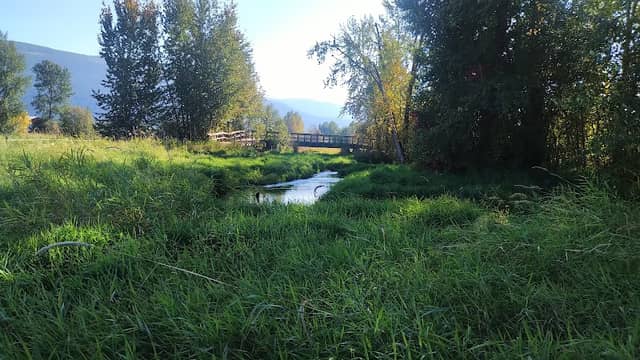 Salmon Trails - Image 1