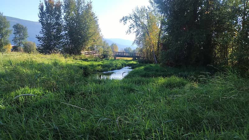 Salmon Trails - Image 1