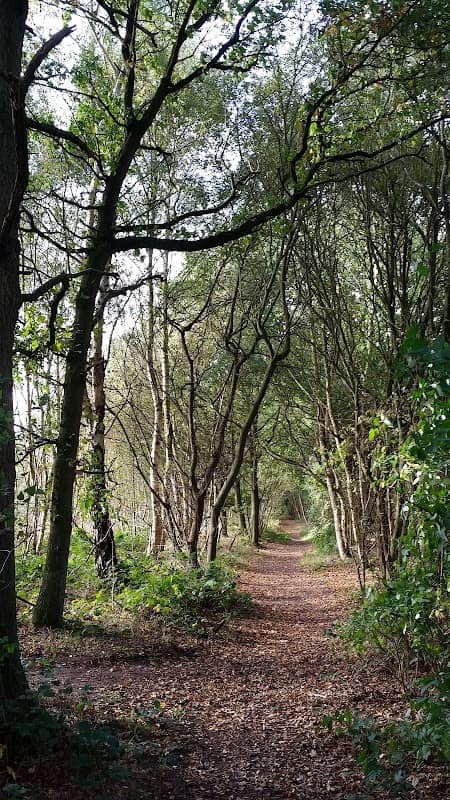 Spalford Warren - Image 1