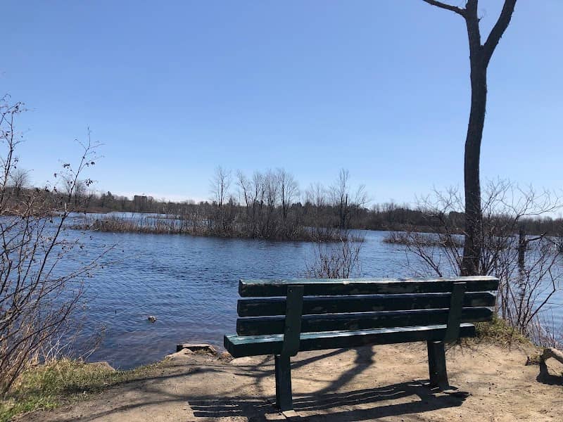 Potsdam Flow / Raquette River - Image 1