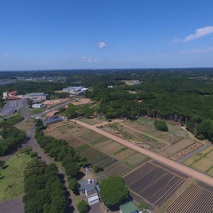 ROYAL FARM OWNERS CLUB - Image 1
