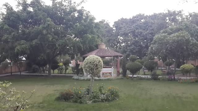Apana Park - Image 1
