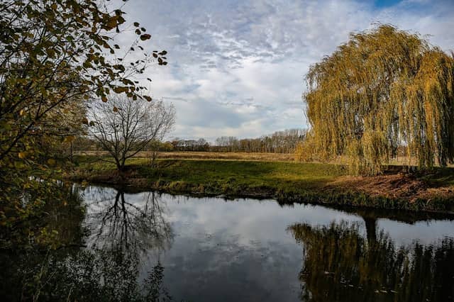 Klostermersch Schelhasseweg - Image 1