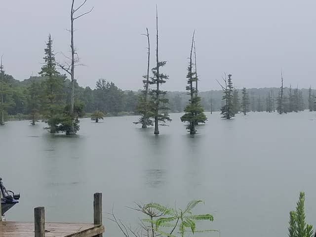 Big Lake Wildlife Management Area - Image 2