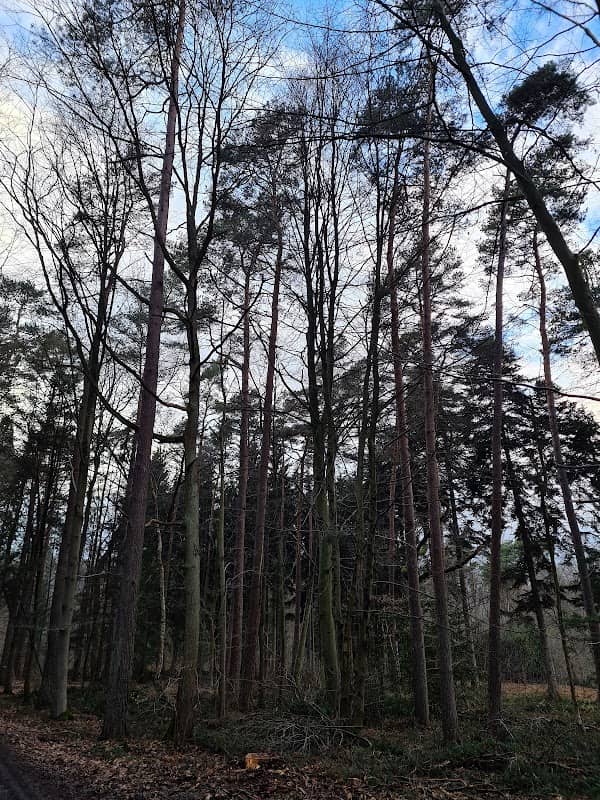 Arboretum de Profondeville - Image 1