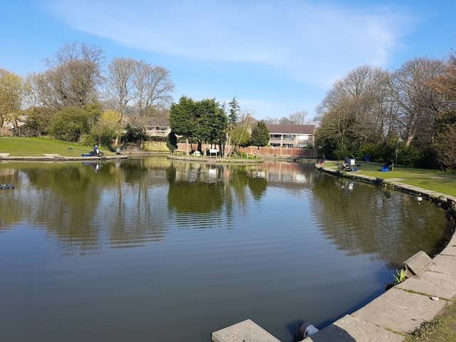 Low Hills Park - Image 1