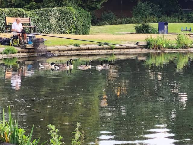 Low Hills Park - Image 2