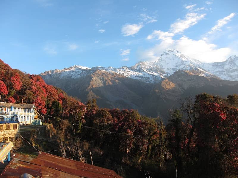 Ghorepani Poon Hill Trek - Image 3