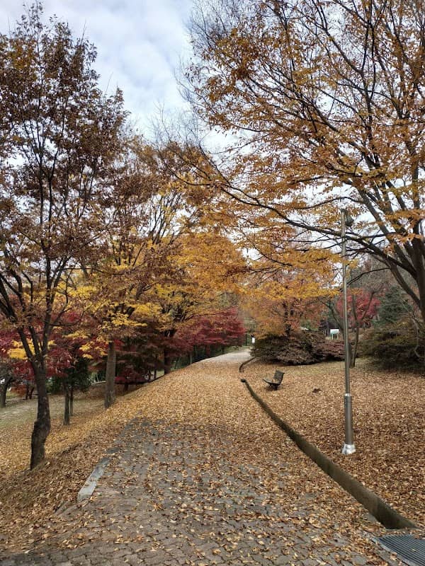 가경공원 - Image 1