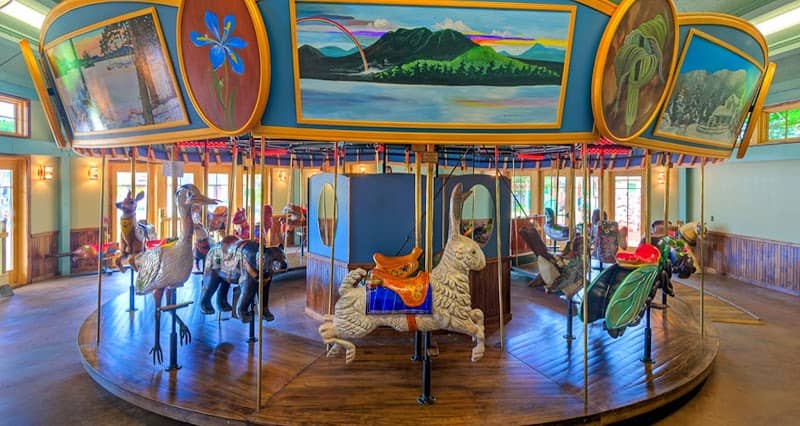 Adirondack Carousel - Image 2