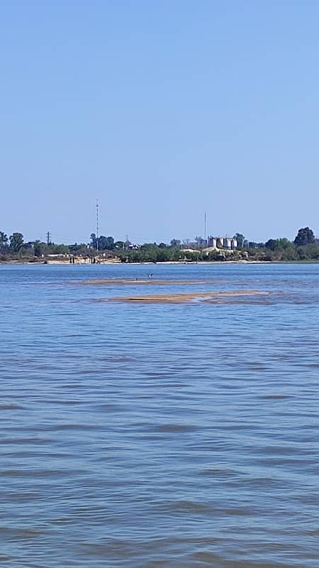 Archipiélago del Paraná - Image 2