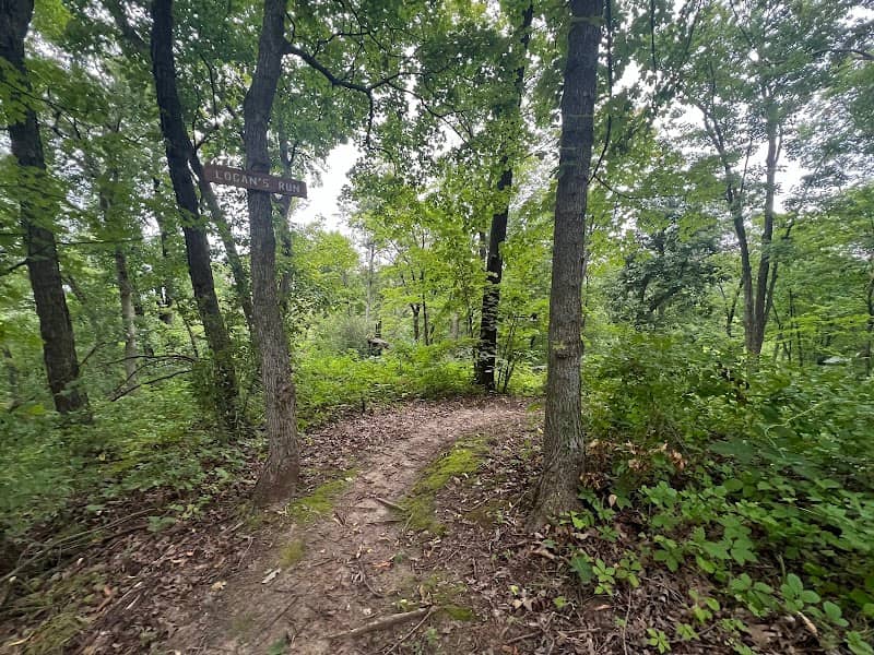 Sunbridge Hills Conservation Area - Image 1