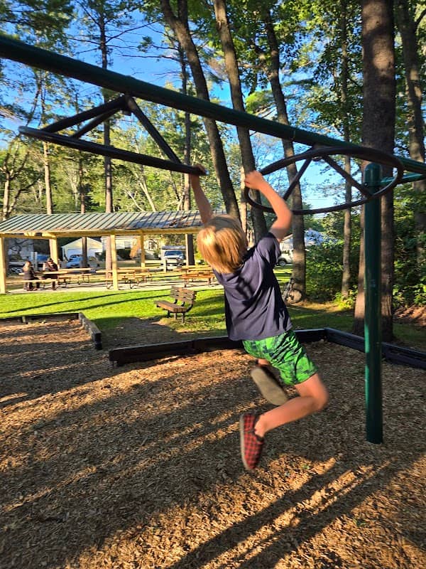 Wilkinson Park - Image 1