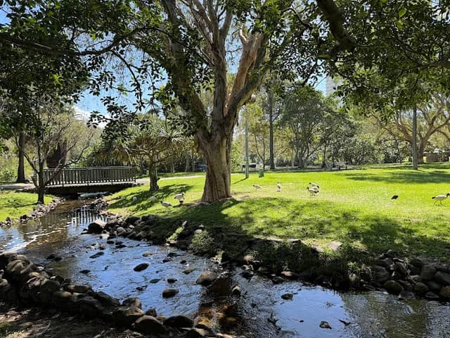 Peacock enclosure - Image 2