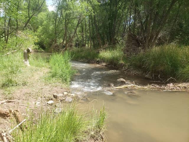 Verde River Greenway State Natural Area - Image 1