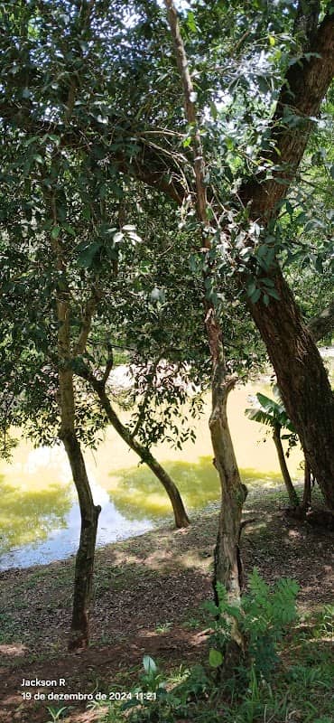 Ecological Park of Santa Maria - Image 2