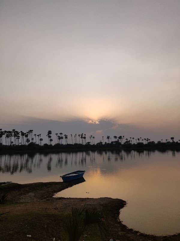 NEJA - THE PRIDE OF CAMBAY - Image 2