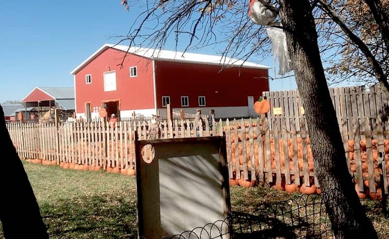 Lil' Bitz Pumpkin Patch (open Sept 13th- Oct 26th, 2025) - Image 1