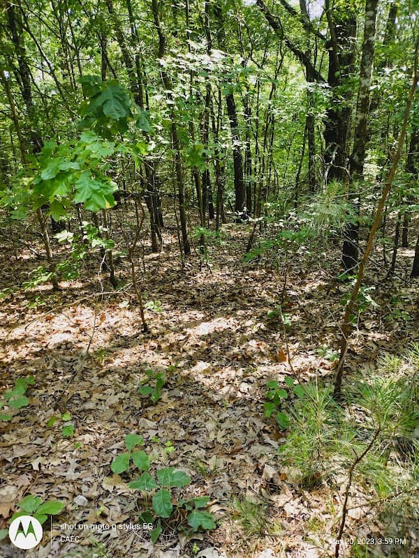 Bono Lake Recreational Area - Image 1
