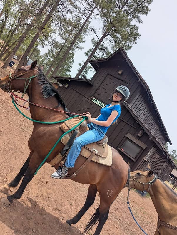 Pinetop Lakes Equestrian Center - Image 2