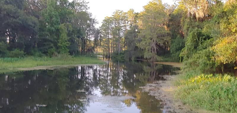 Gil Waters Preserve Park - Image 2