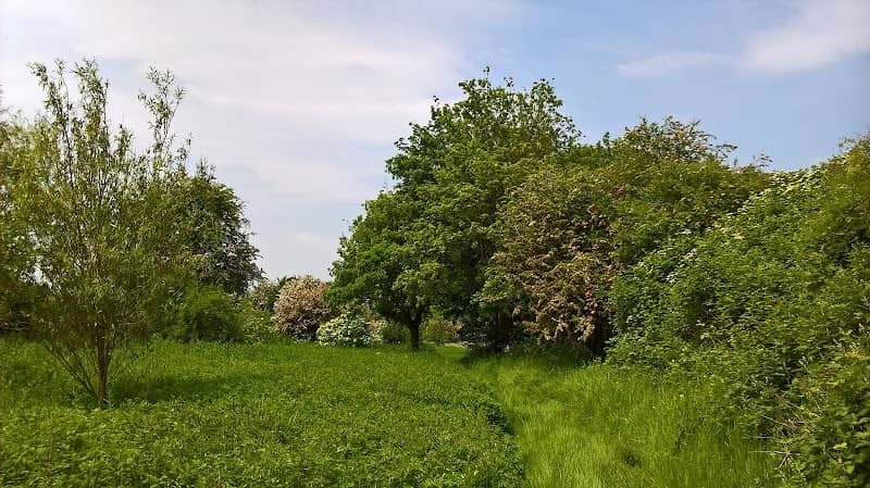 Cowslip Meadow Nature Reserve - Image 1