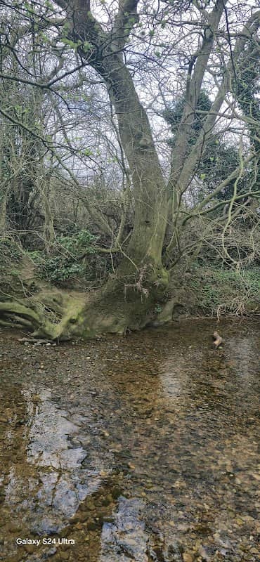 Keyworth Meadow Nature Reserve - Image 1