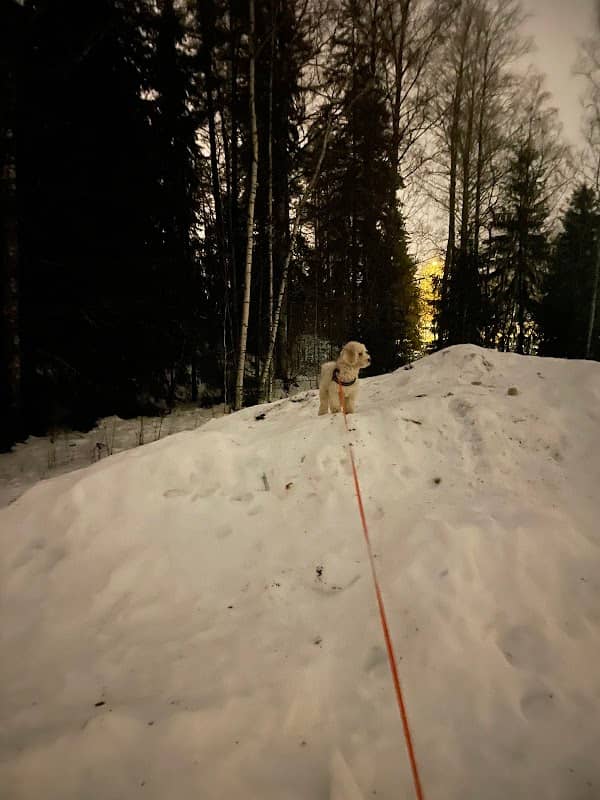 Oinasmäen puisto - Image 2