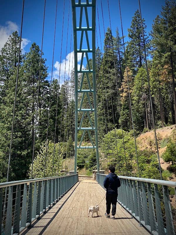 Wagon creek pedestrian bridge - Image 2