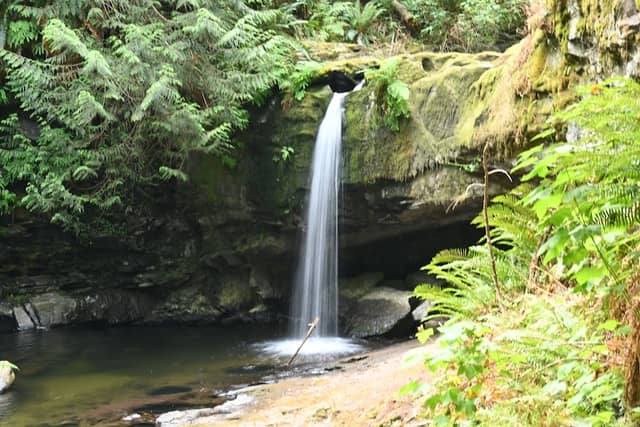 Stocking Creek Park - Image 1
