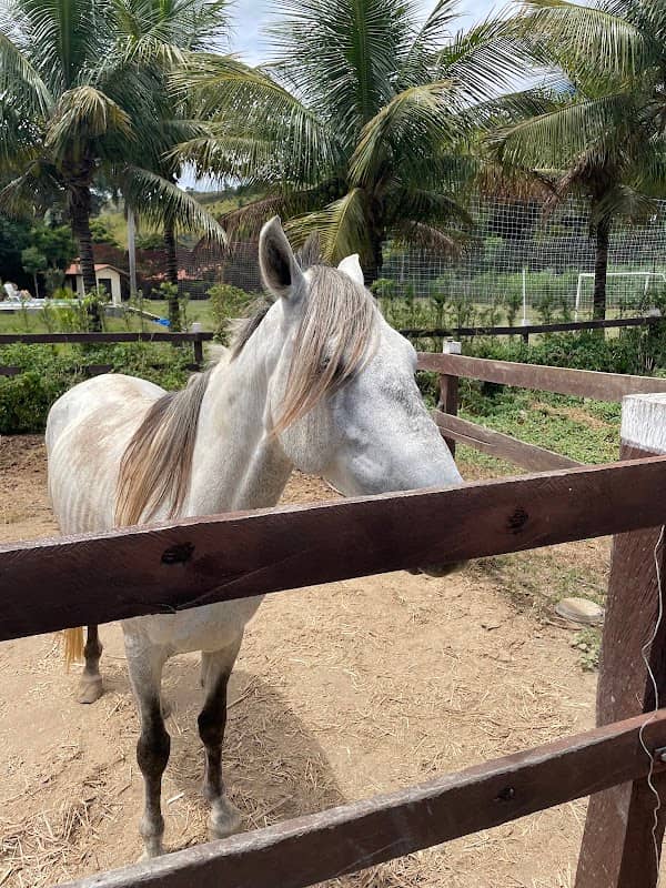 Rancho Vieira - Image 1