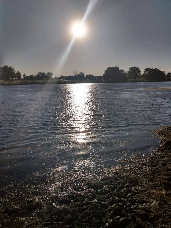 Farrand Park - Image 1