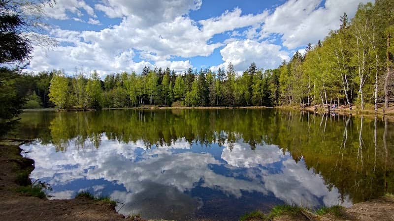 Stauweiher - Image 1