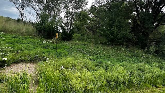 Riverside Bluffs - Image 2