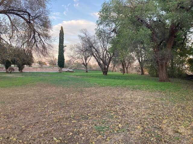 Pioneer Park - Image 1