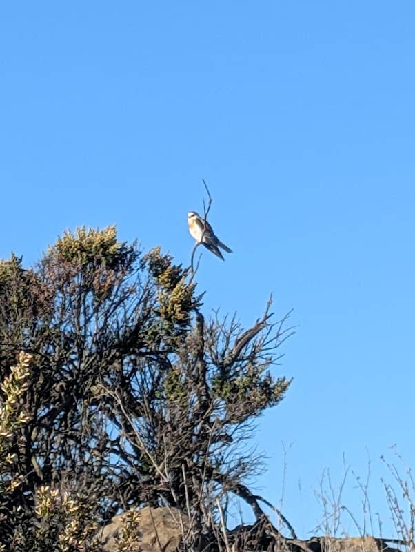 San Francisco Bay Trail - Image 3