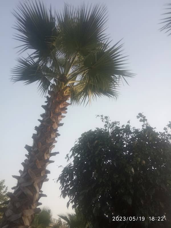 Park, Sonipat - Image 1