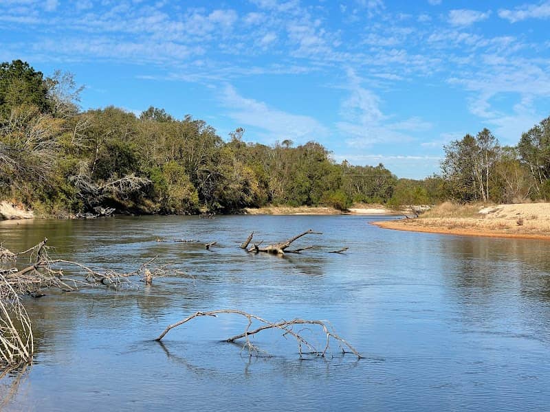 Bogue Chitto State Park - Image 1